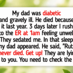 12 Witnessed Moments When Compassion Arrived Just When Happiness Seemed Gone Forever