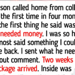 12 Heartwarming Home Stories Where Family Memories Created Lifelong Happiness and Emotional Comfort