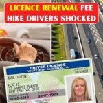 Licence Renewal Fee Jumps to $420 as Drivers Respond to Sudden Rise