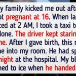 12 Quiet Compassion Moments Showing Kindness Creating Real Happiness