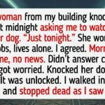 12 Quiet Moments Showing Kindness Changing Lives Without Attention Or Recognition