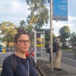 Trains suspended on Day 2 of free transport